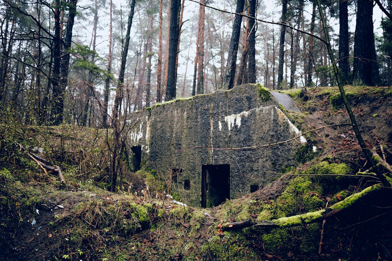 A moss-covered WWII bunker hidden in the dense forests of Tylkowo, Poland.